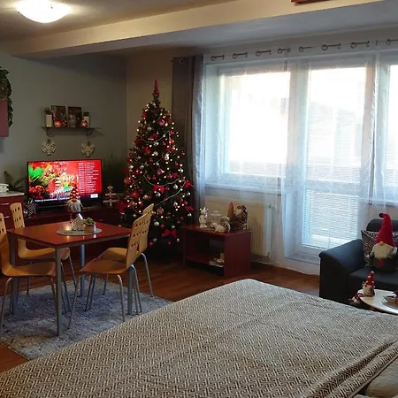 Patris 40 Appartement *